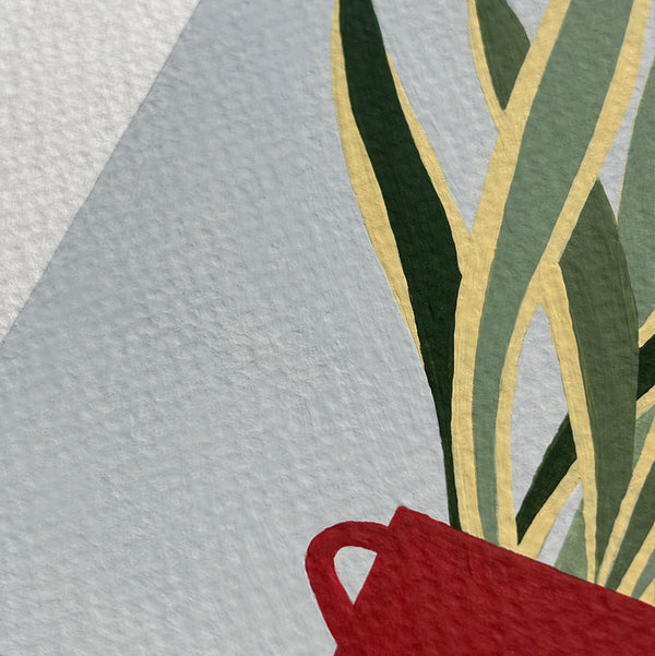 dettaglio di un Quadro di una pianta di sansevieria in un vaso rosso