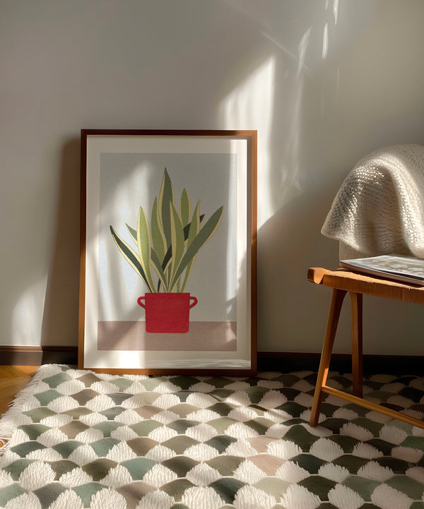 Stampa pianta Sansevieria