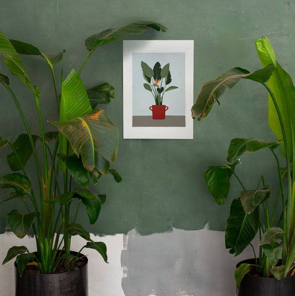 Illustrazione di una pianta di strelitzia in un vaso rosso