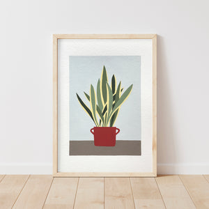 Sansevieria dipinta a mano