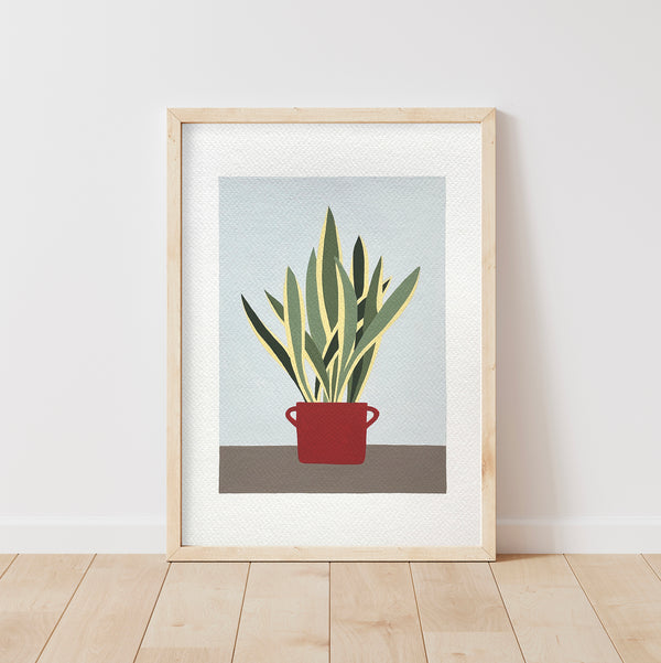 quadro di una sansevieria in un vaso rosso