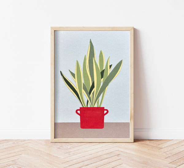 Stampa pianta Sansevieria