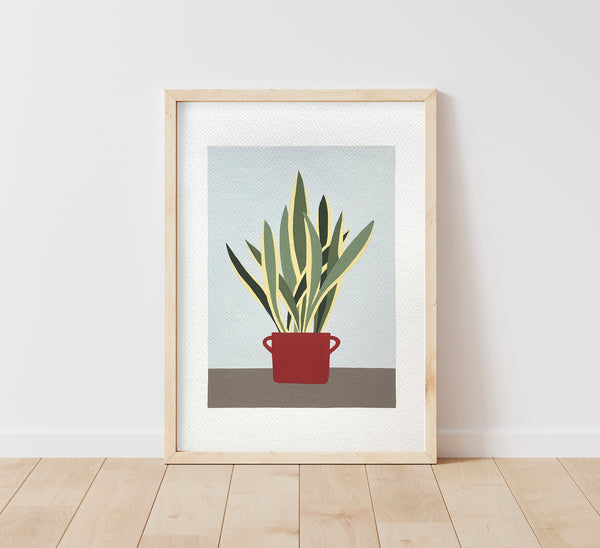 Sansevieria dipinta a mano