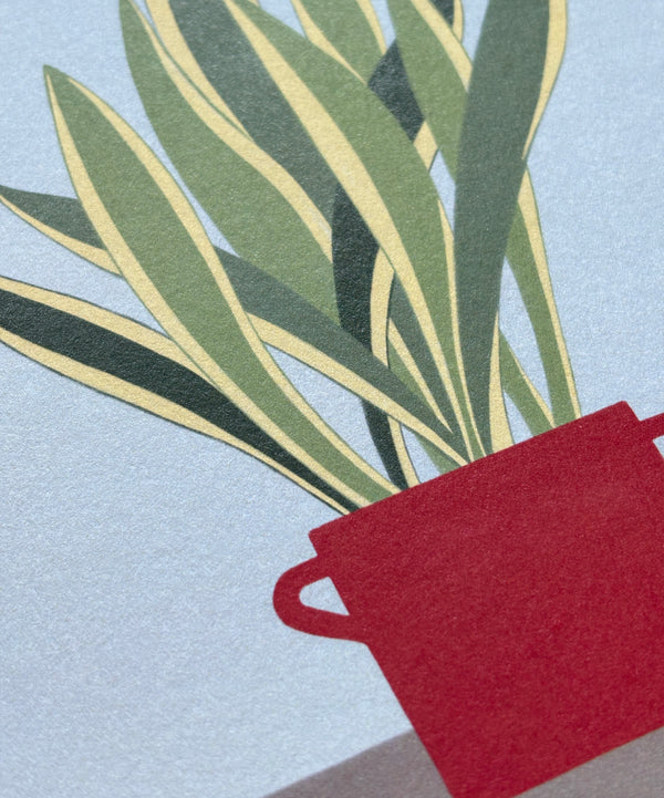 Stampa pianta Sansevieria