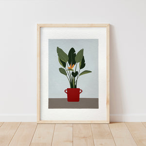 Strelitzia dipinta a mano
